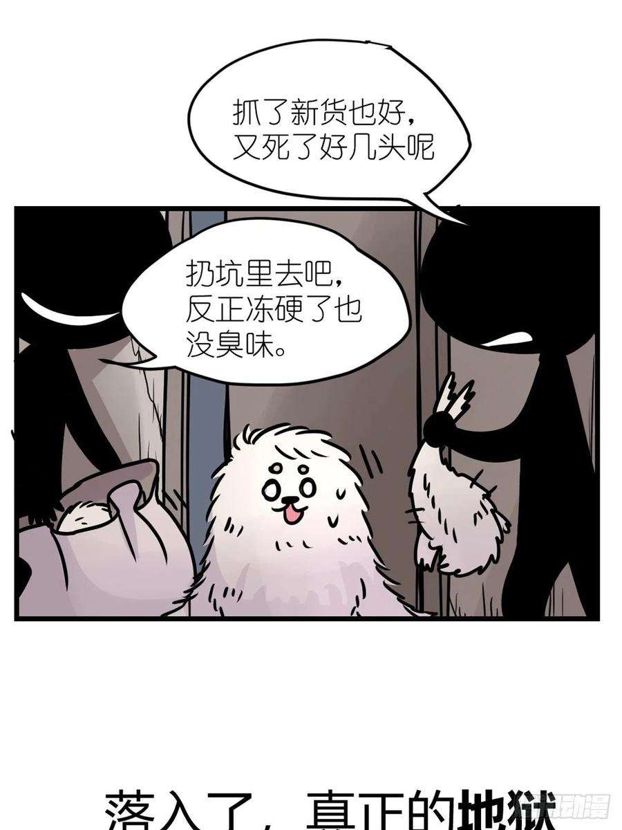 进化之基四海篇11：海豹豹的奇幻漂流4