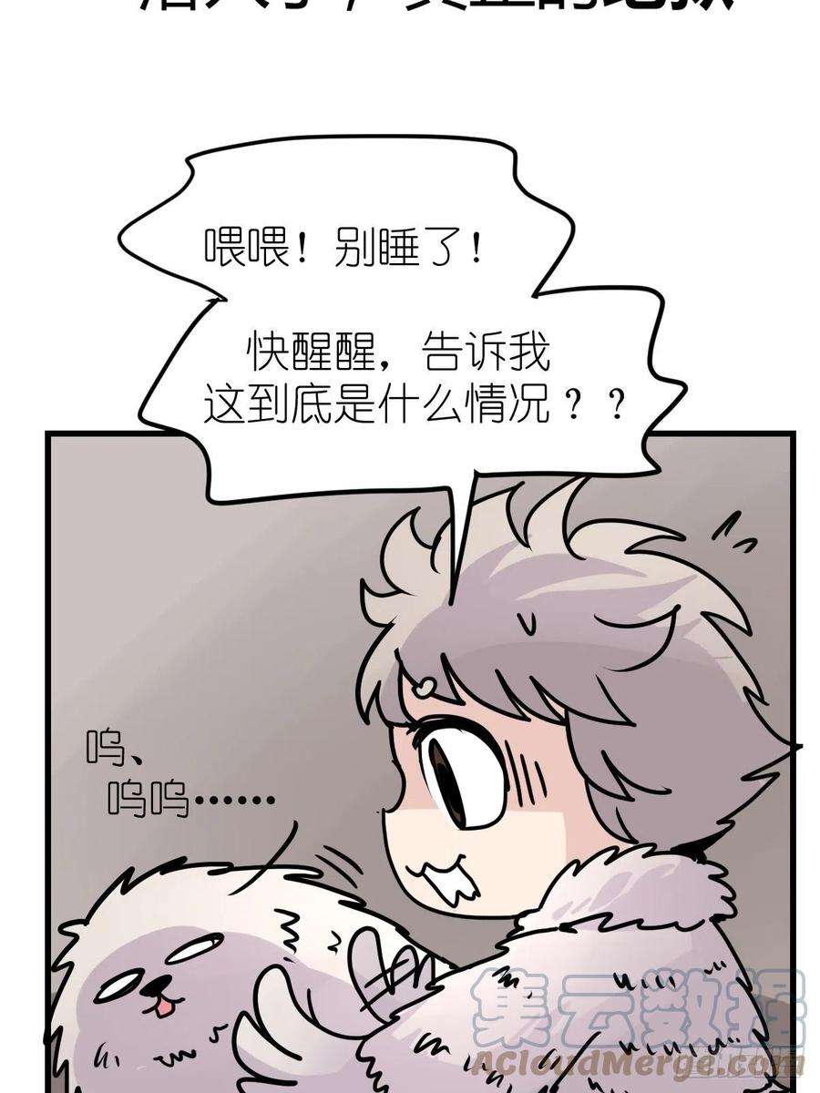 进化之基四海篇11：海豹豹的奇幻漂流4