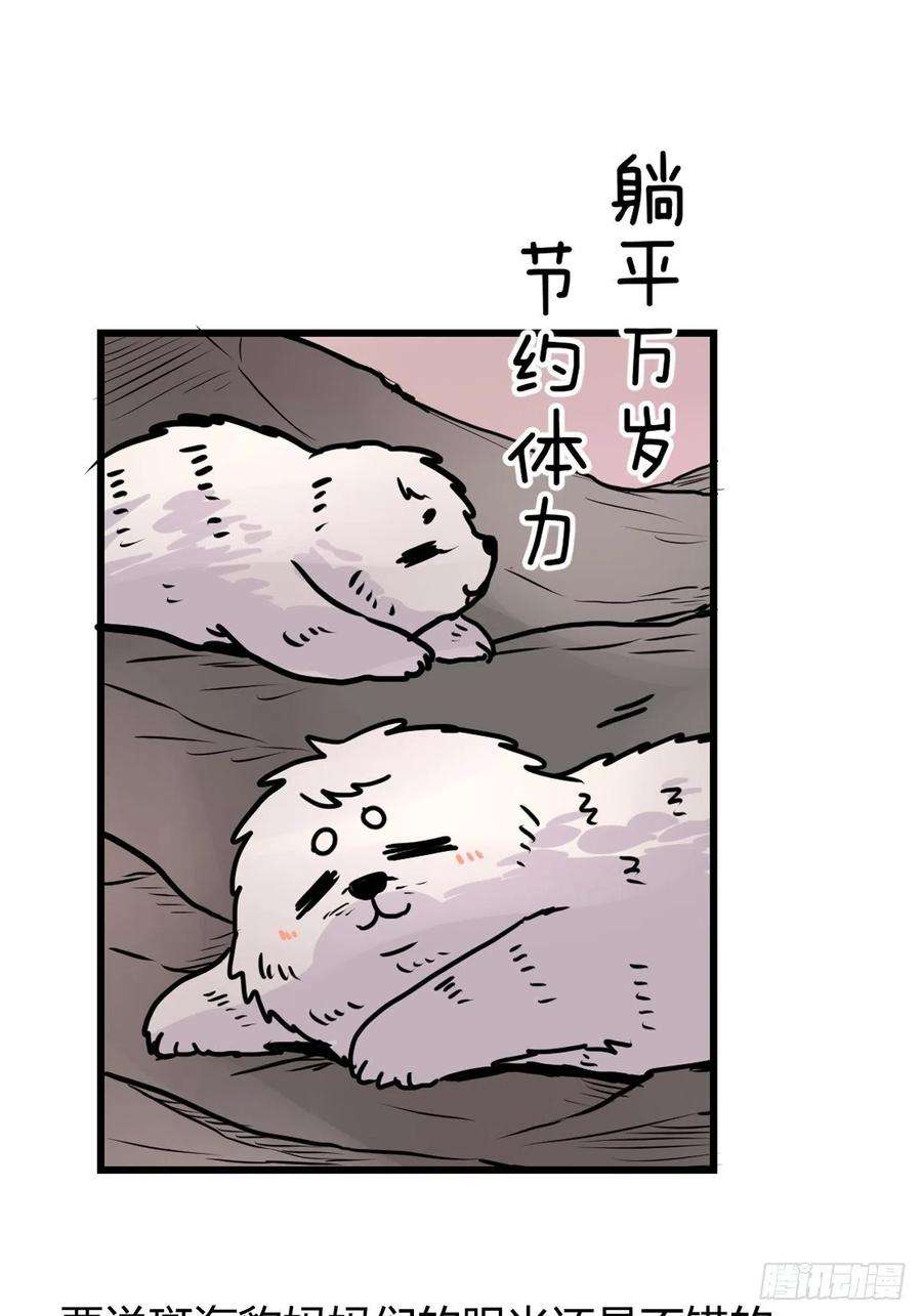 进化之基四海篇11：海豹豹的奇幻漂流4