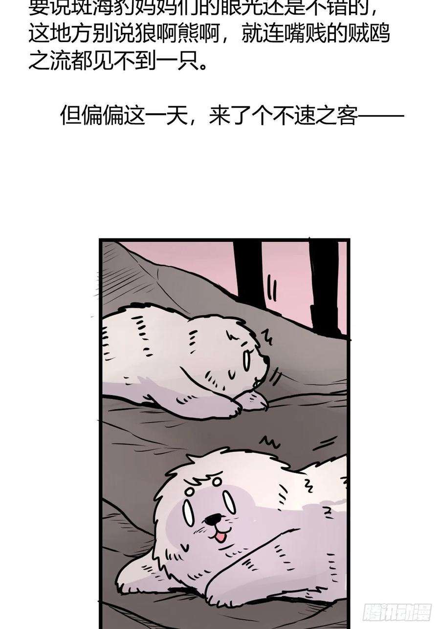 进化之基四海篇11：海豹豹的奇幻漂流4