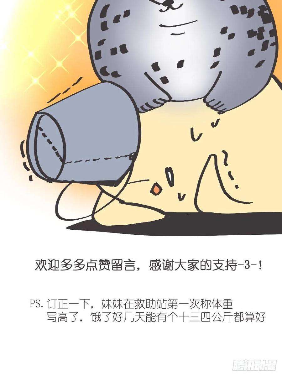 进化之基四海篇11：海豹豹的奇幻漂流4