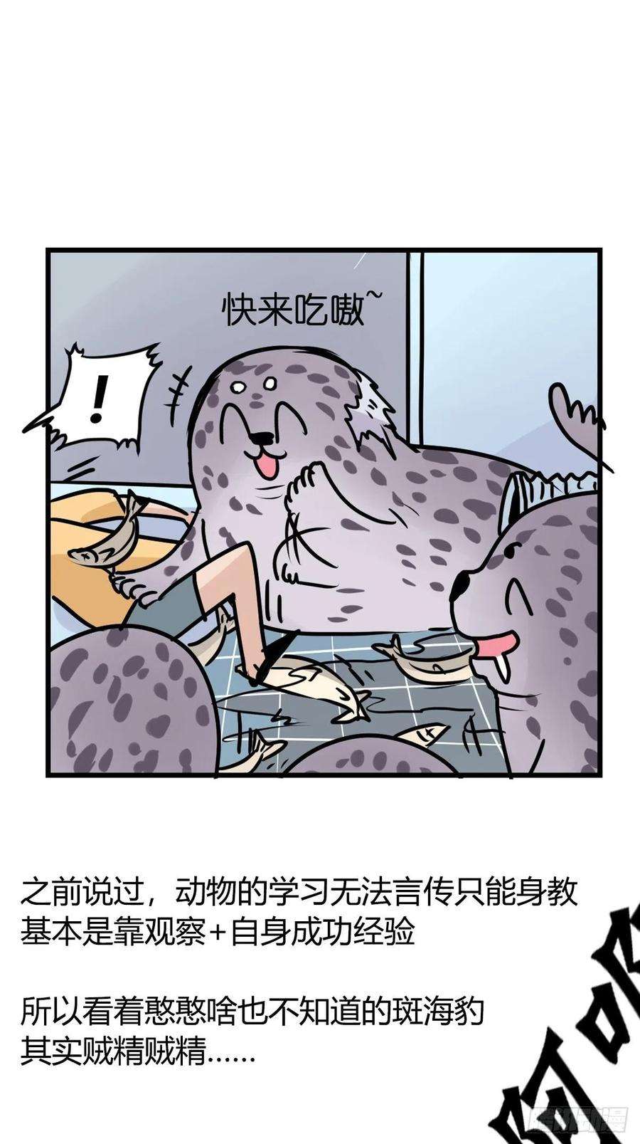 进化之基四海篇15：海豹豹奇幻漂流8