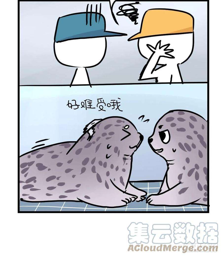进化之基四海篇15：海豹豹奇幻漂流8
