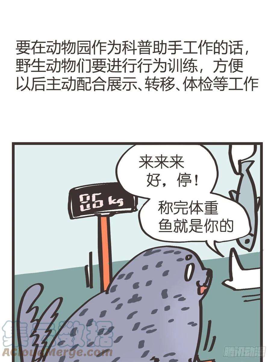 进化之基四海篇15：海豹豹奇幻漂流8