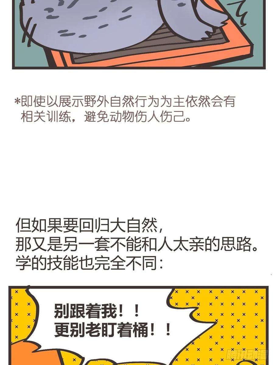 进化之基四海篇15：海豹豹奇幻漂流8
