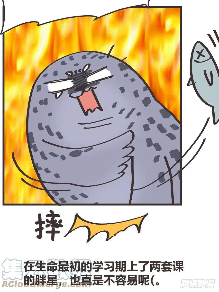 进化之基四海篇15：海豹豹奇幻漂流8