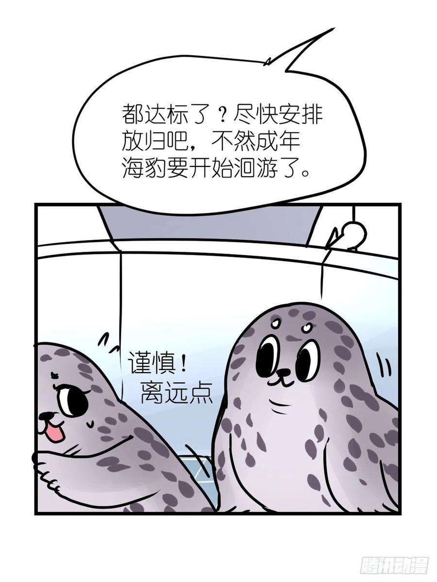 进化之基四海篇16：海豹豹奇幻漂流9