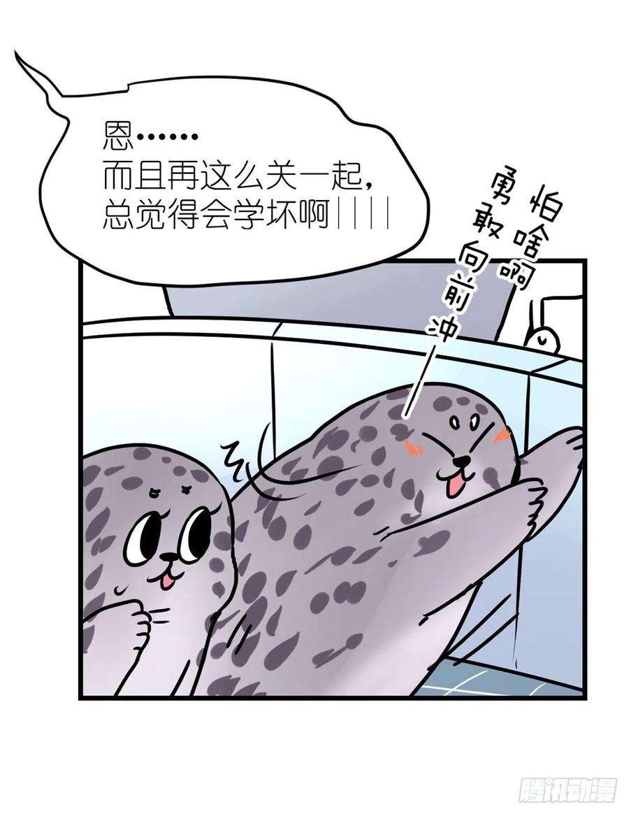 进化之基四海篇16：海豹豹奇幻漂流9