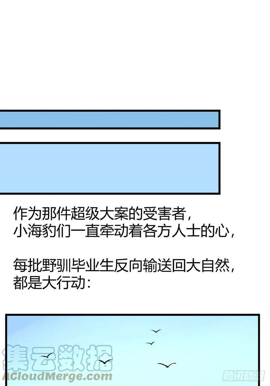 进化之基四海篇16：海豹豹奇幻漂流9
