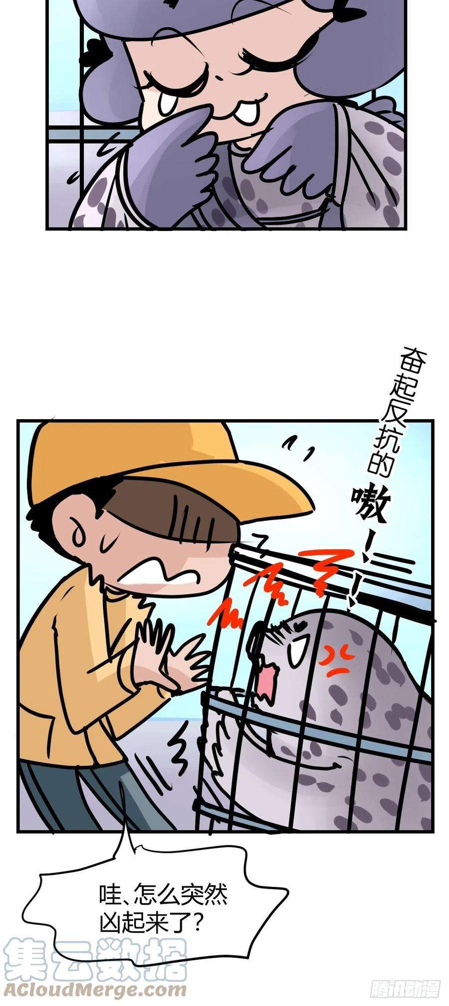 进化之基四海篇16：海豹豹奇幻漂流9
