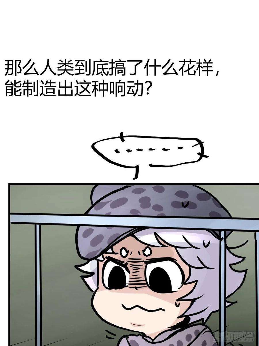 进化之基四海篇16：海豹豹奇幻漂流9