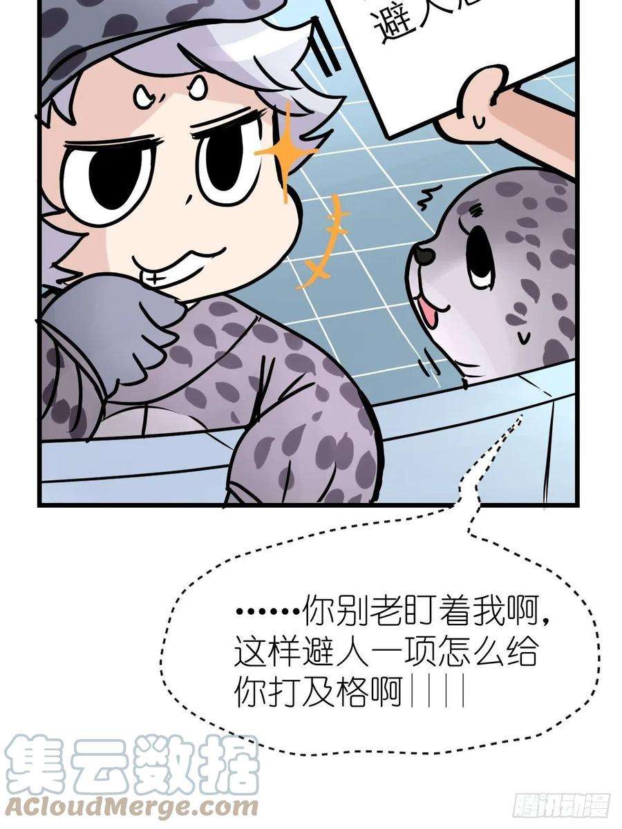 进化之基四海篇16：海豹豹奇幻漂流9