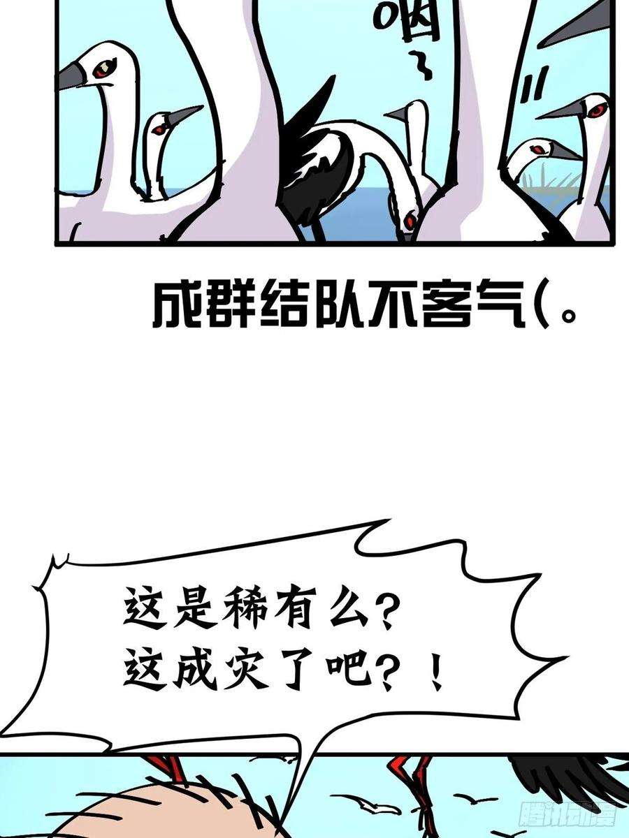 进化之基四海篇20：进狱系国宝？02