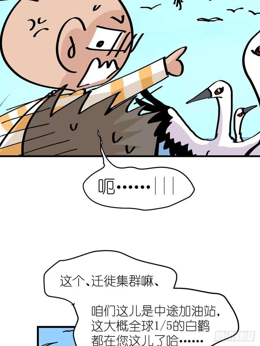 进化之基四海篇20：进狱系国宝？02