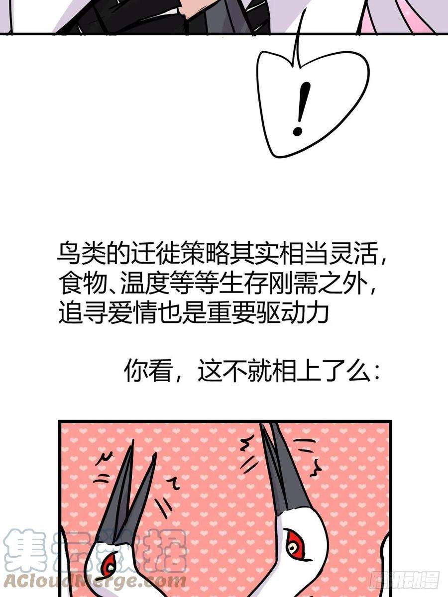 进化之基四海篇20：进狱系国宝？02
