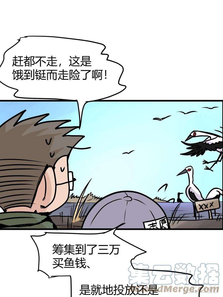 进化之基四海篇20：进狱系国宝？02