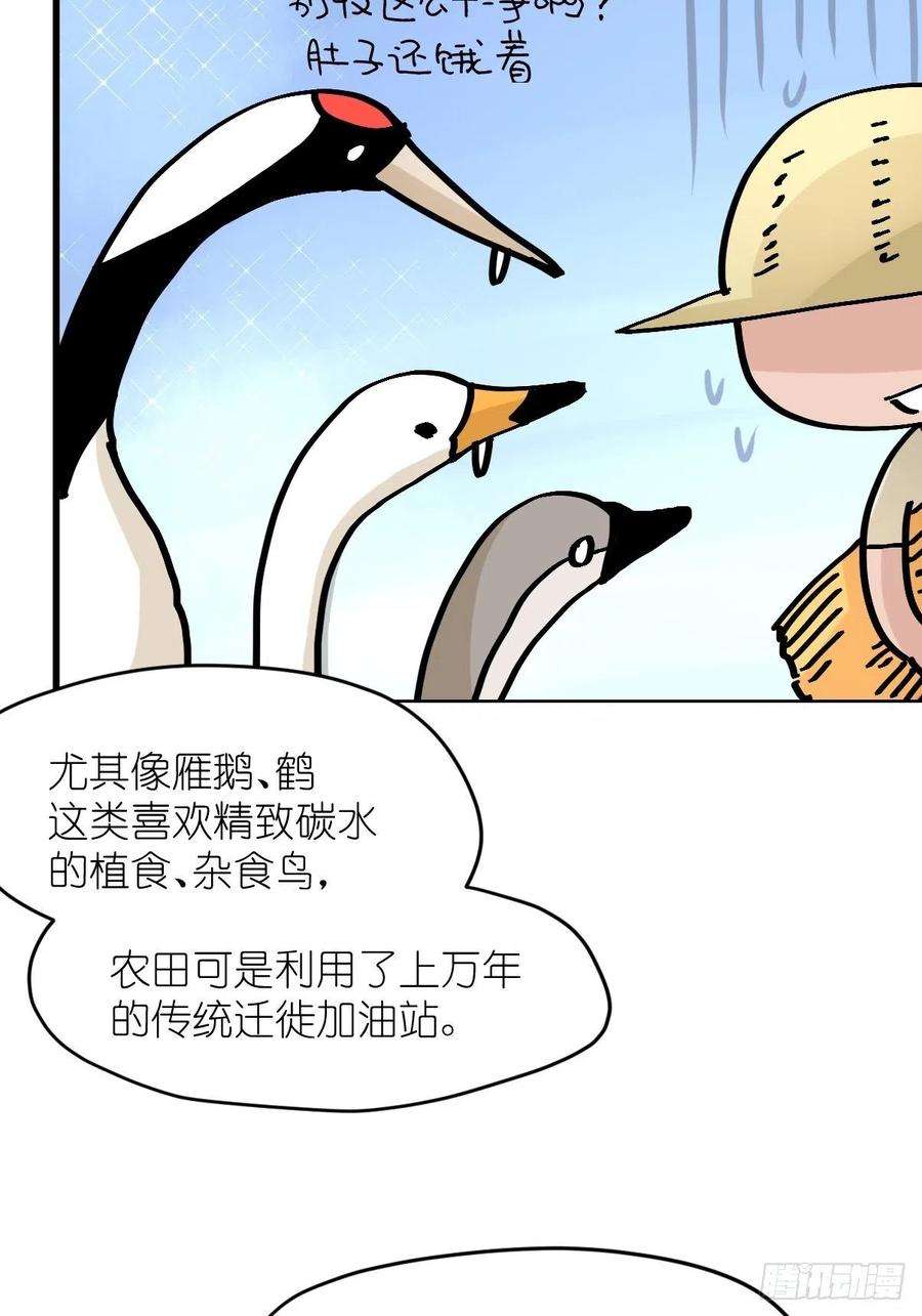 进化之基四海篇23：月夜缉凶01