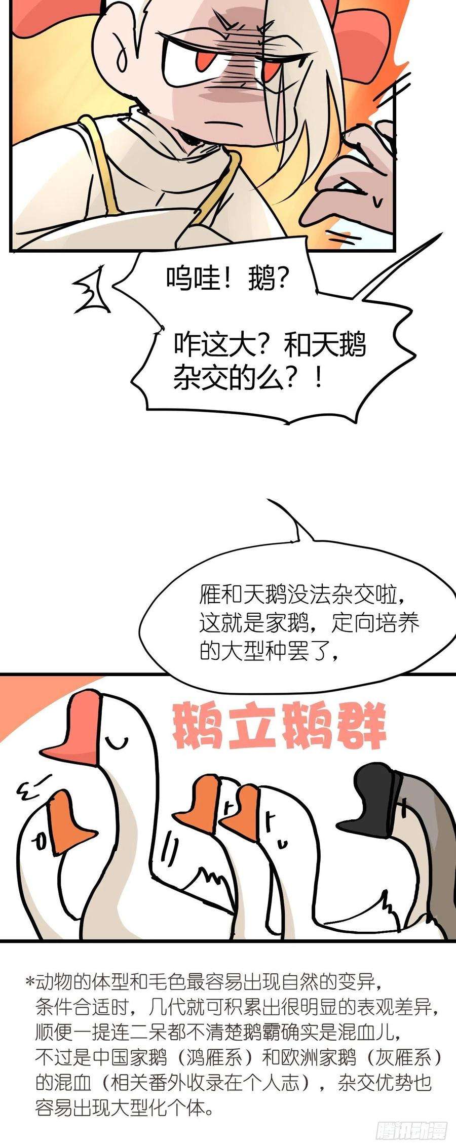 进化之基四海篇23：月夜缉凶01