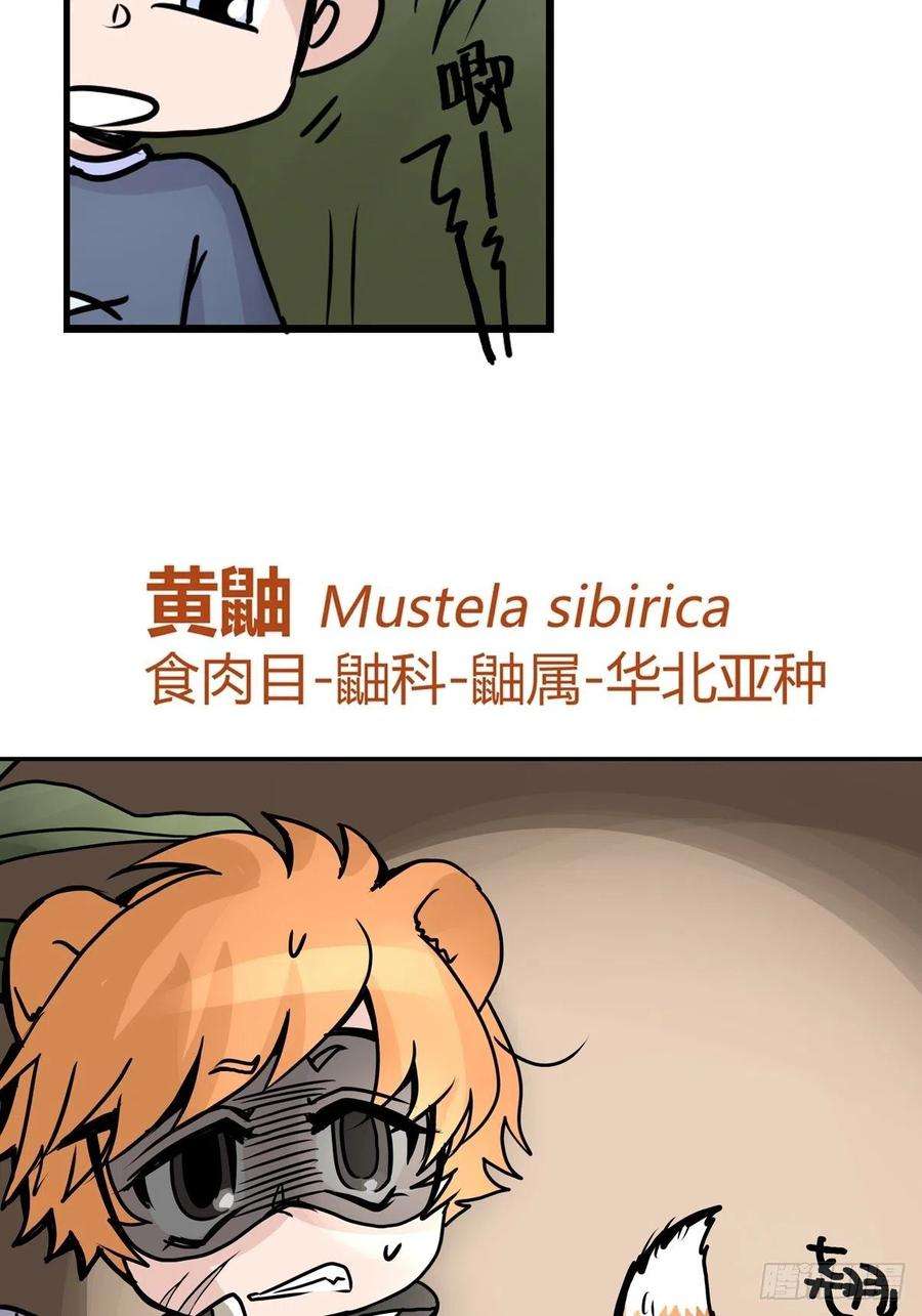 进化之基四海篇25：月夜缉凶03