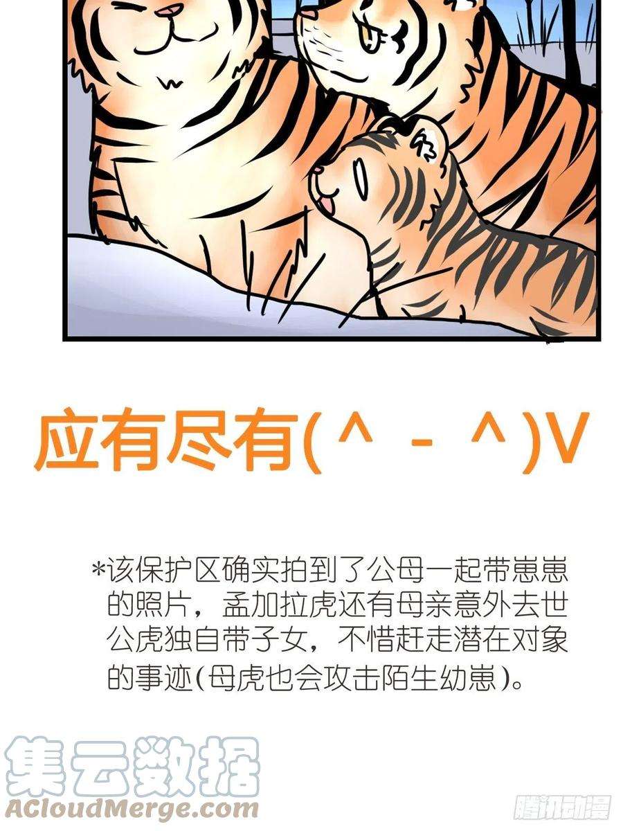 进化之基虎年特别篇：王者归来02