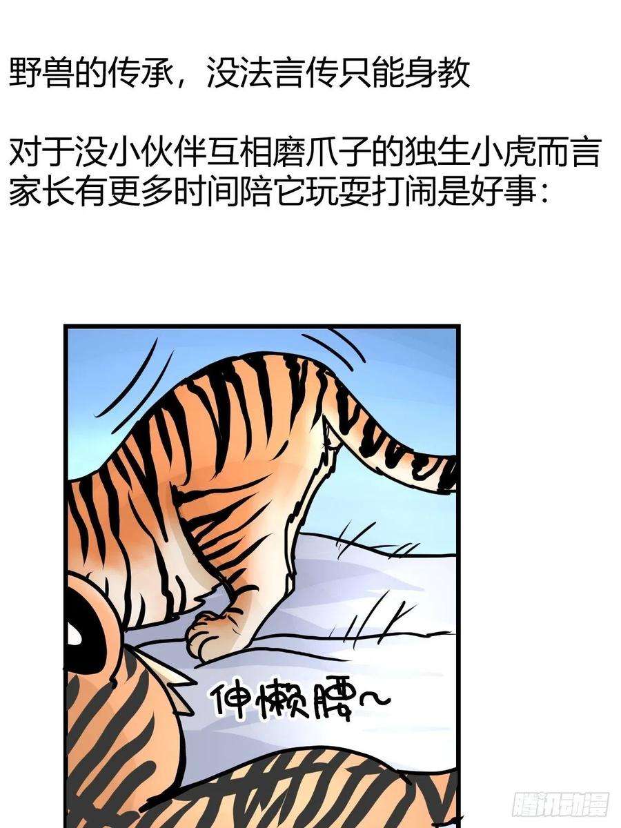 进化之基虎年特别篇：王者归来02