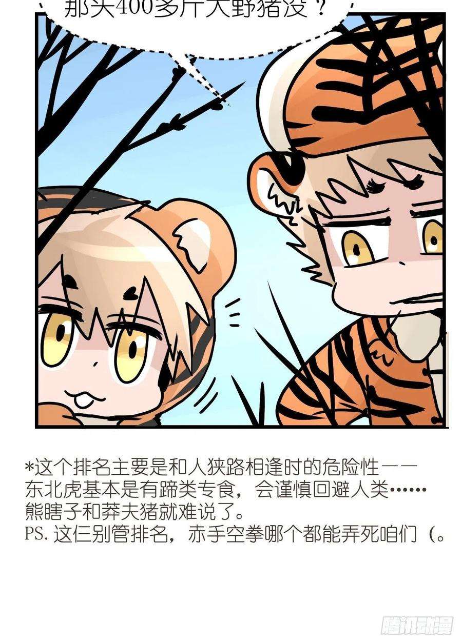 进化之基虎年特别篇：王者归来02