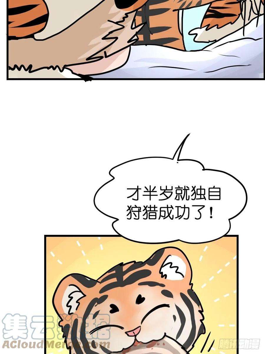 进化之基虎年特别篇：王者归来02