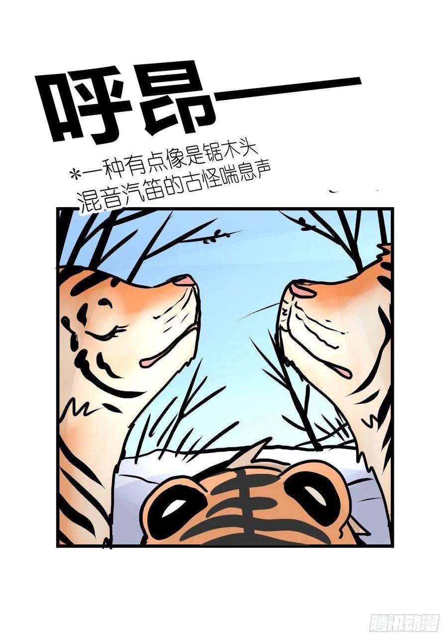 进化之基虎年特别篇：王者归来02