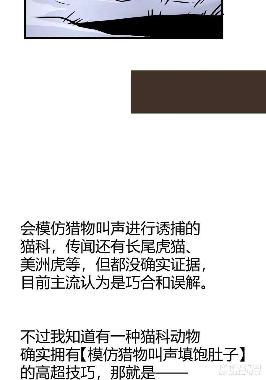 进化之基虎年特别篇：王者归来02