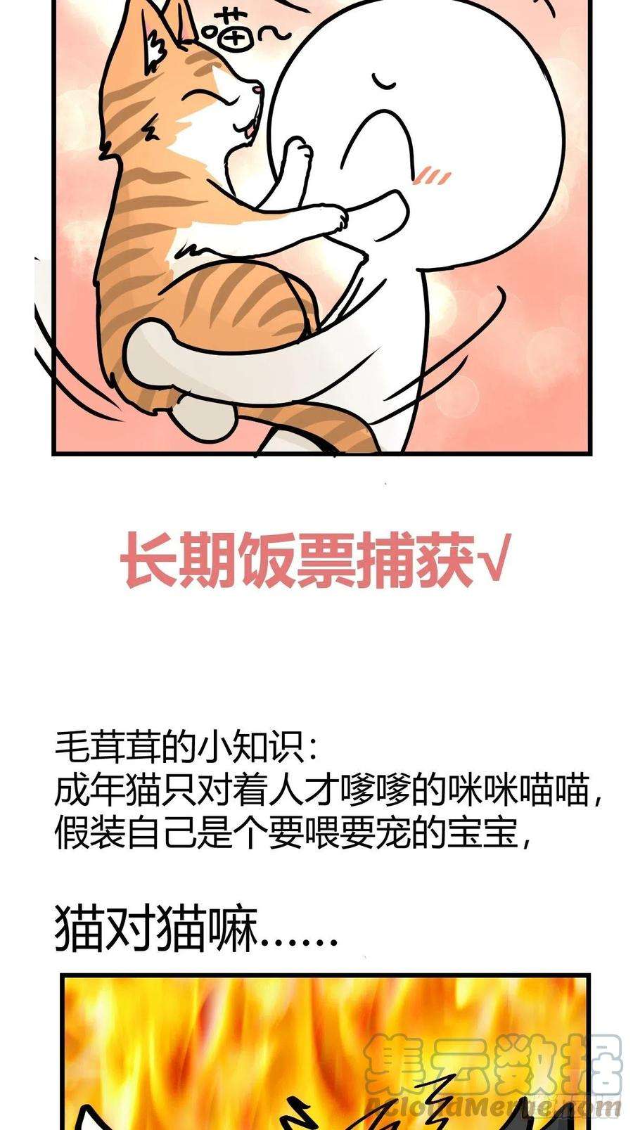 进化之基虎年特别篇：王者归来02