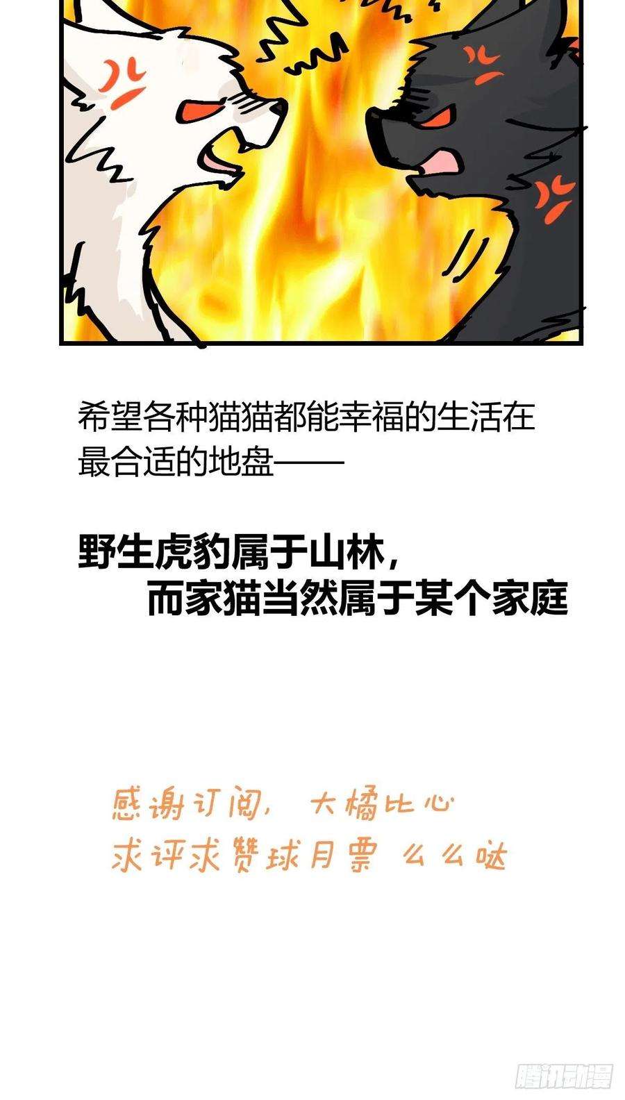 进化之基虎年特别篇：王者归来02