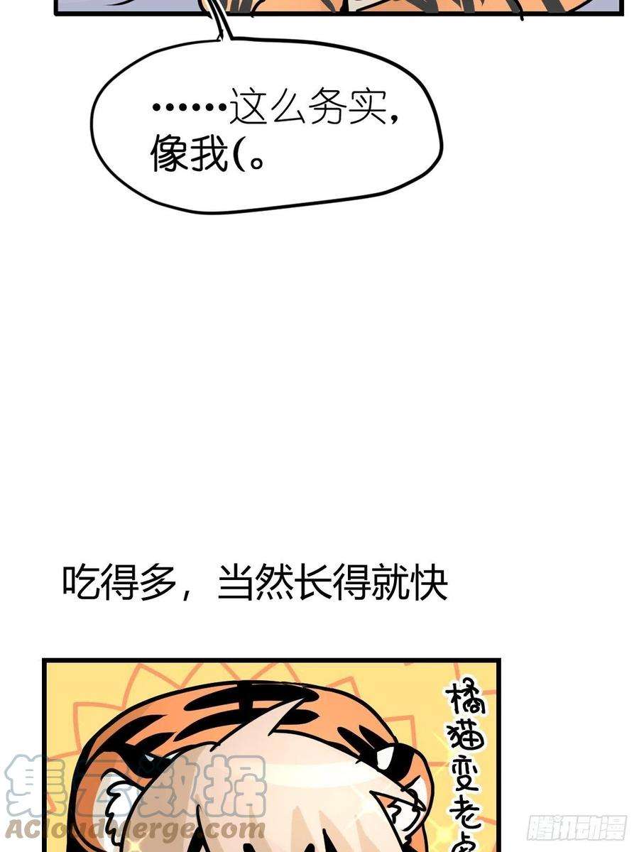 进化之基虎年特别篇：王者归来03