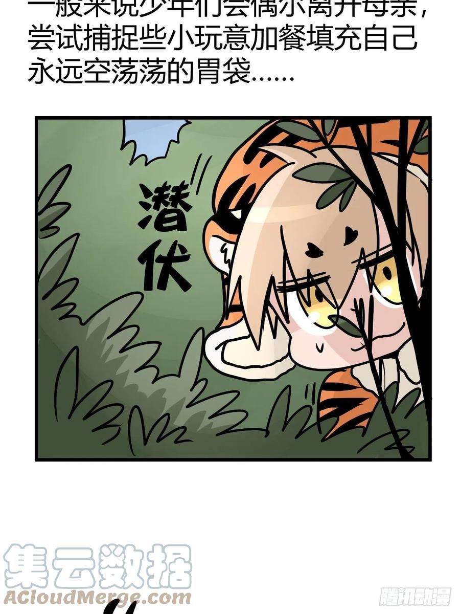 进化之基虎年特别篇：王者归来03