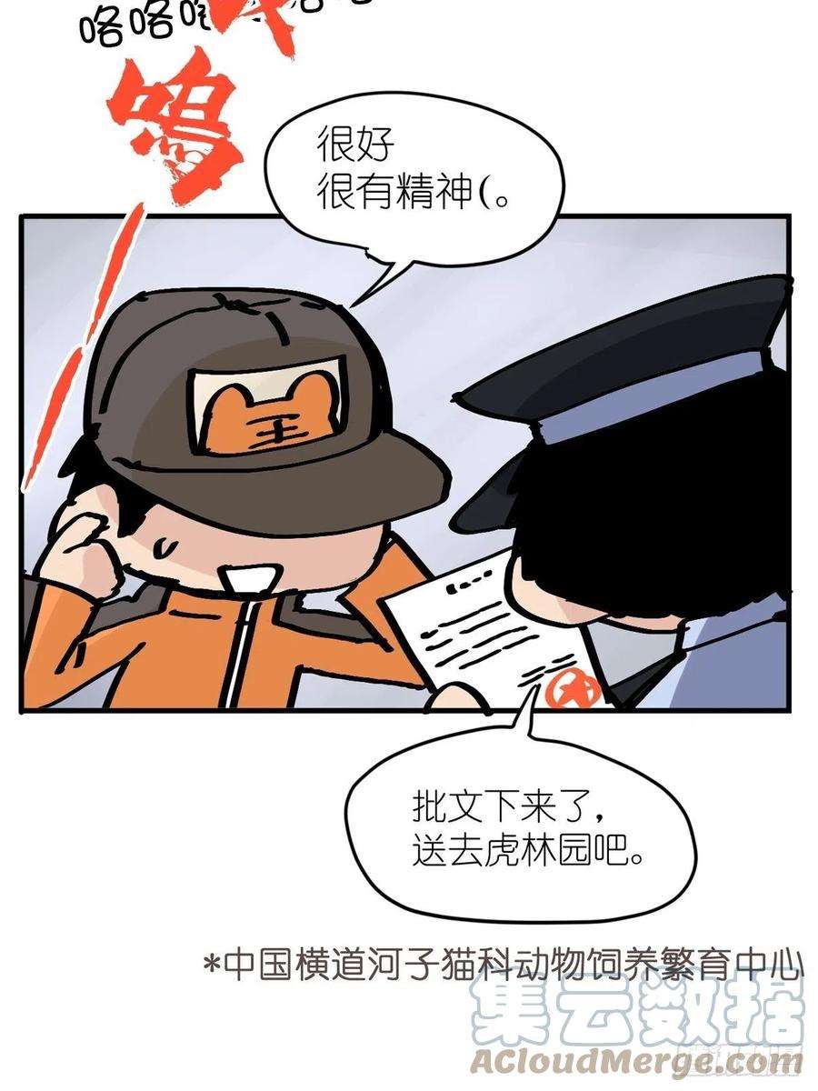 进化之基虎年特别篇：王者归来07
