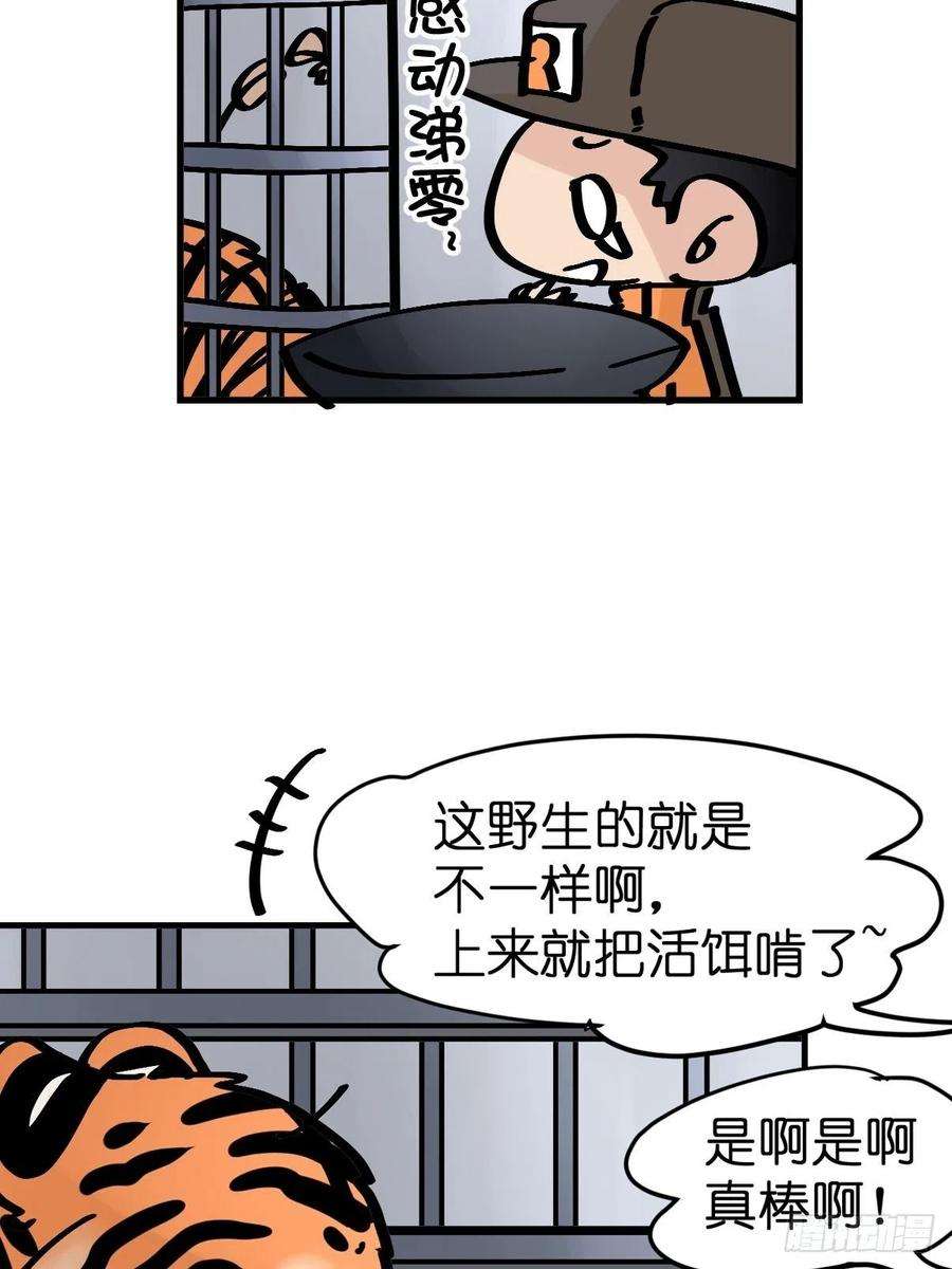 进化之基虎年特别篇：王者归来07