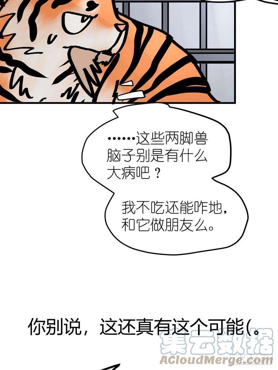 进化之基虎年特别篇：王者归来07