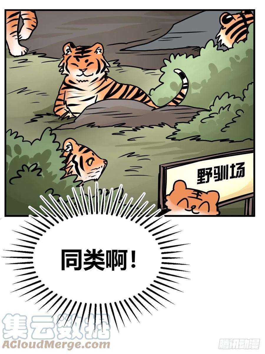 进化之基虎年特别篇：王者归来07