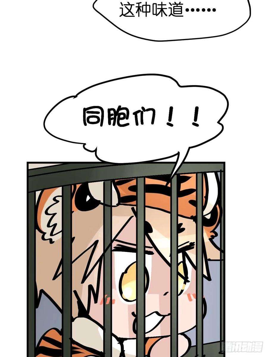 进化之基虎年特别篇：王者归来08