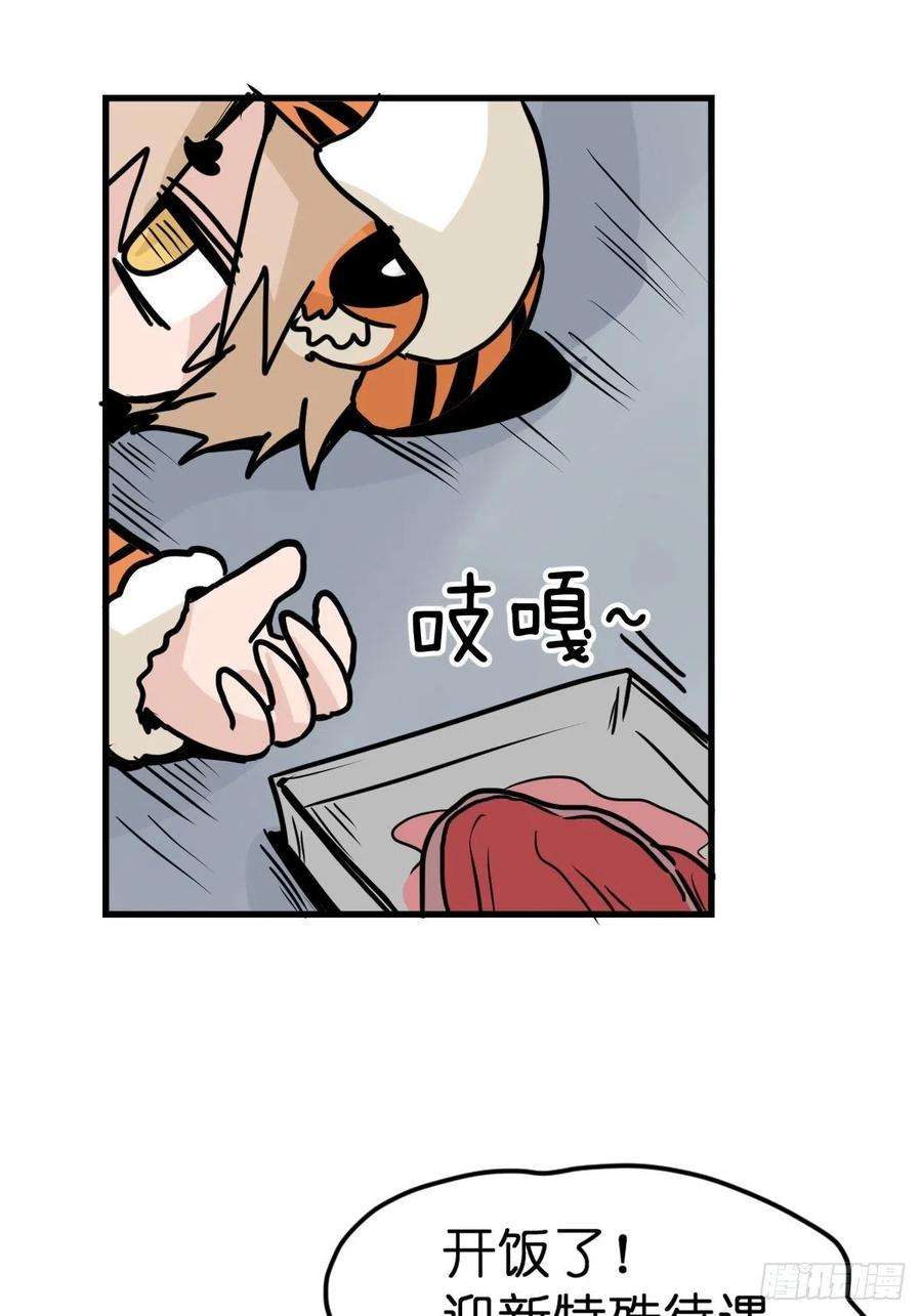 进化之基虎年特别篇：王者归来08