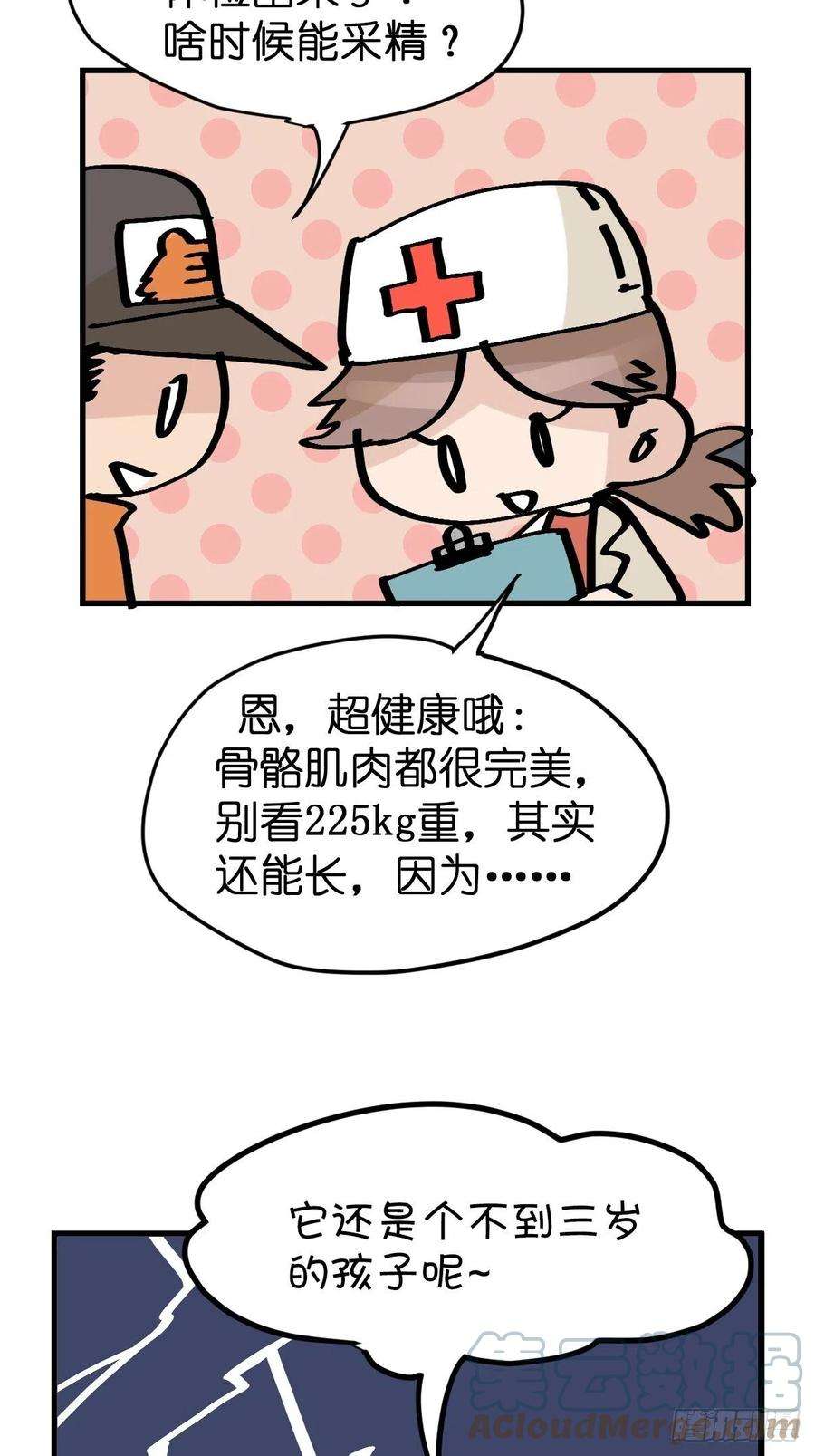 进化之基虎年特别篇：王者归来08
