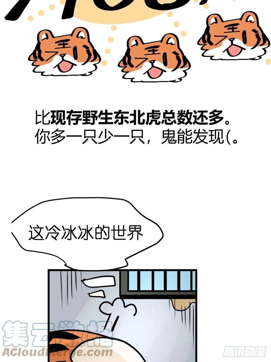 进化之基虎年特别篇：王者归来08