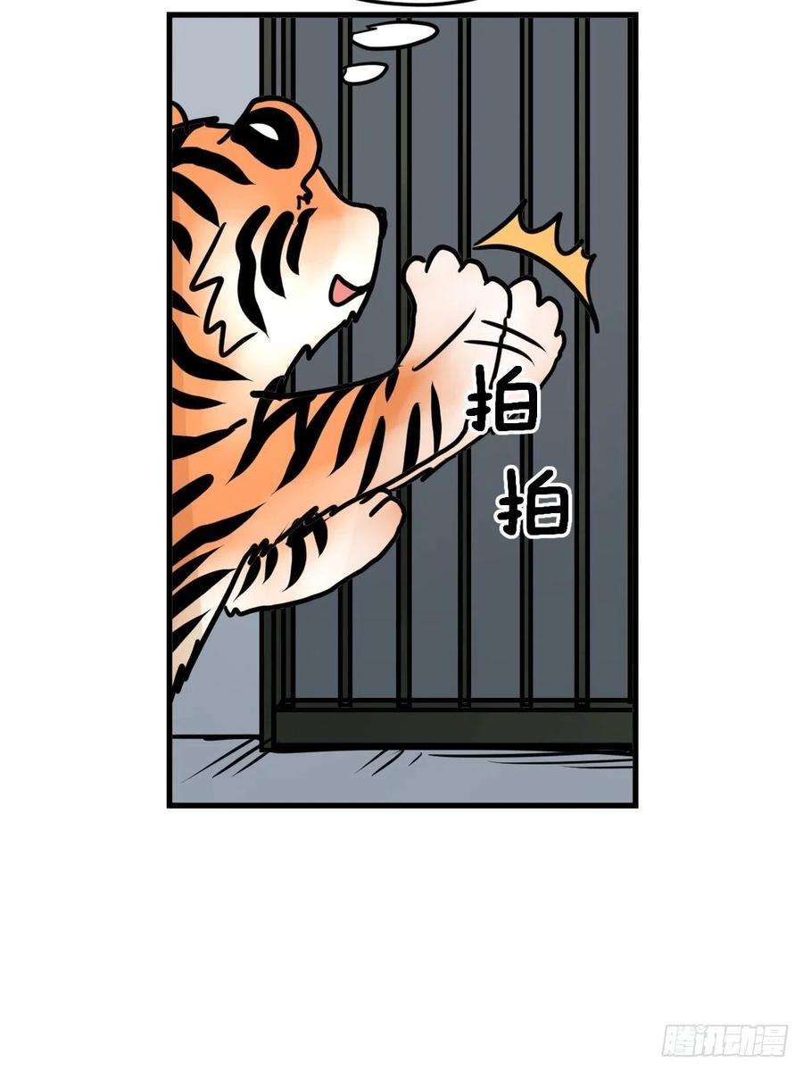 进化之基虎年特别篇：王者归来08