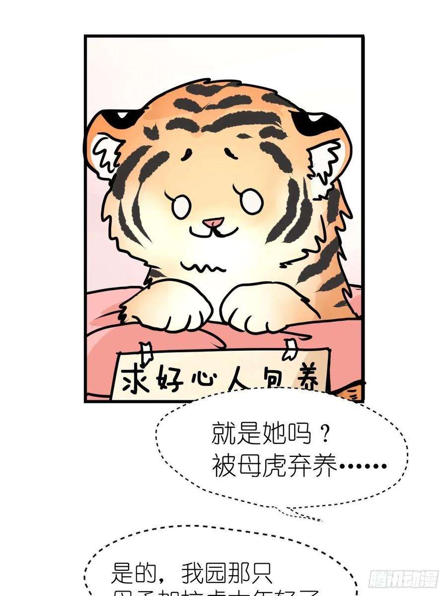 进化之基虎年特别篇：王者归来09