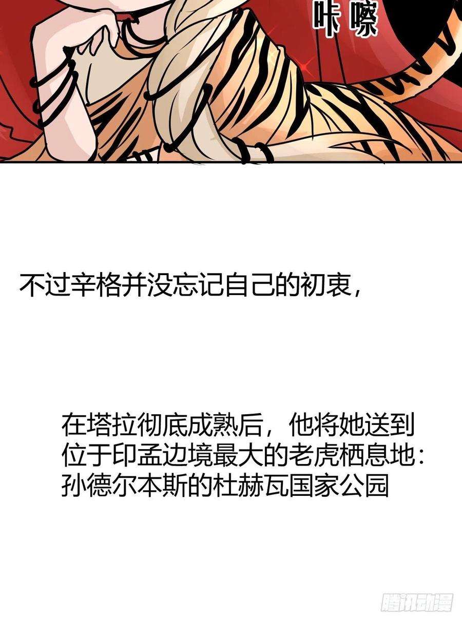 进化之基虎年特别篇：王者归来09