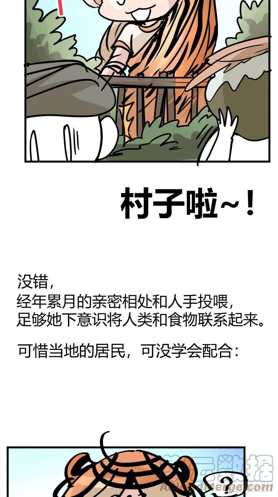 进化之基虎年特别篇：王者归来09
