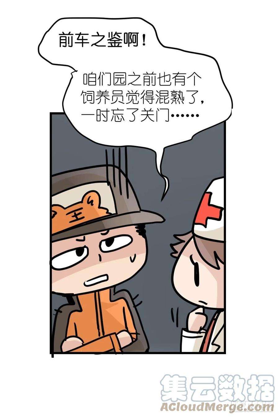 进化之基虎年特别篇：王者归来10