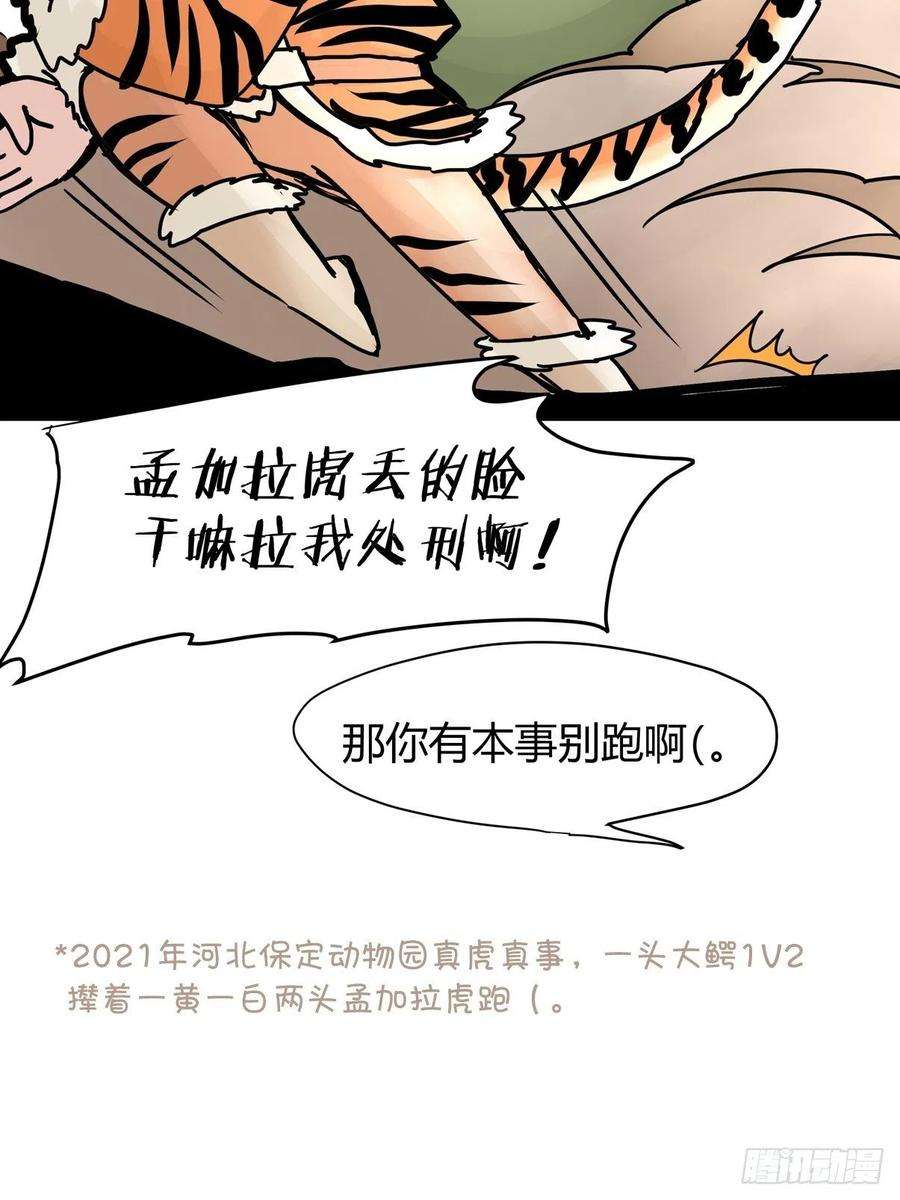 进化之基四海篇29：远虎治不了近鼠？