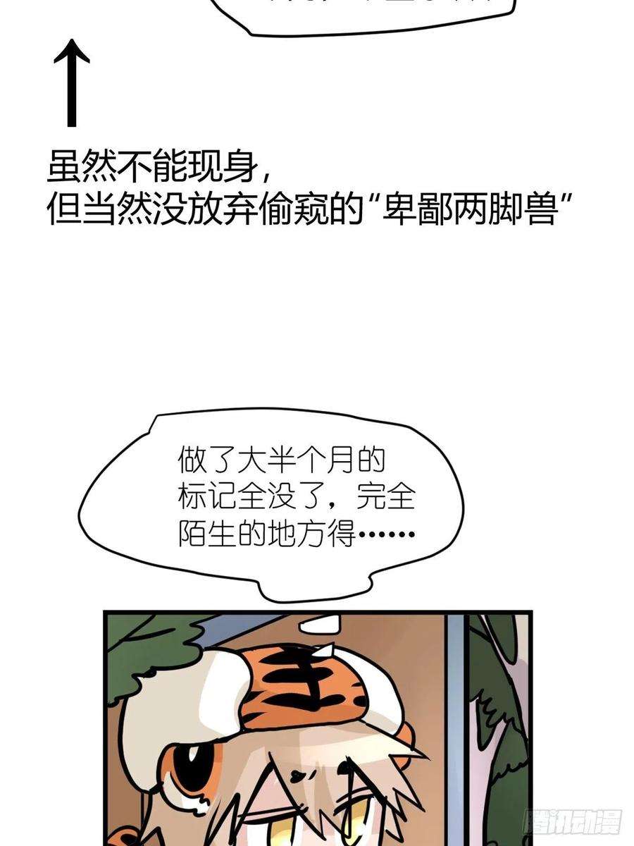 进化之基四海篇29：远虎治不了近鼠？