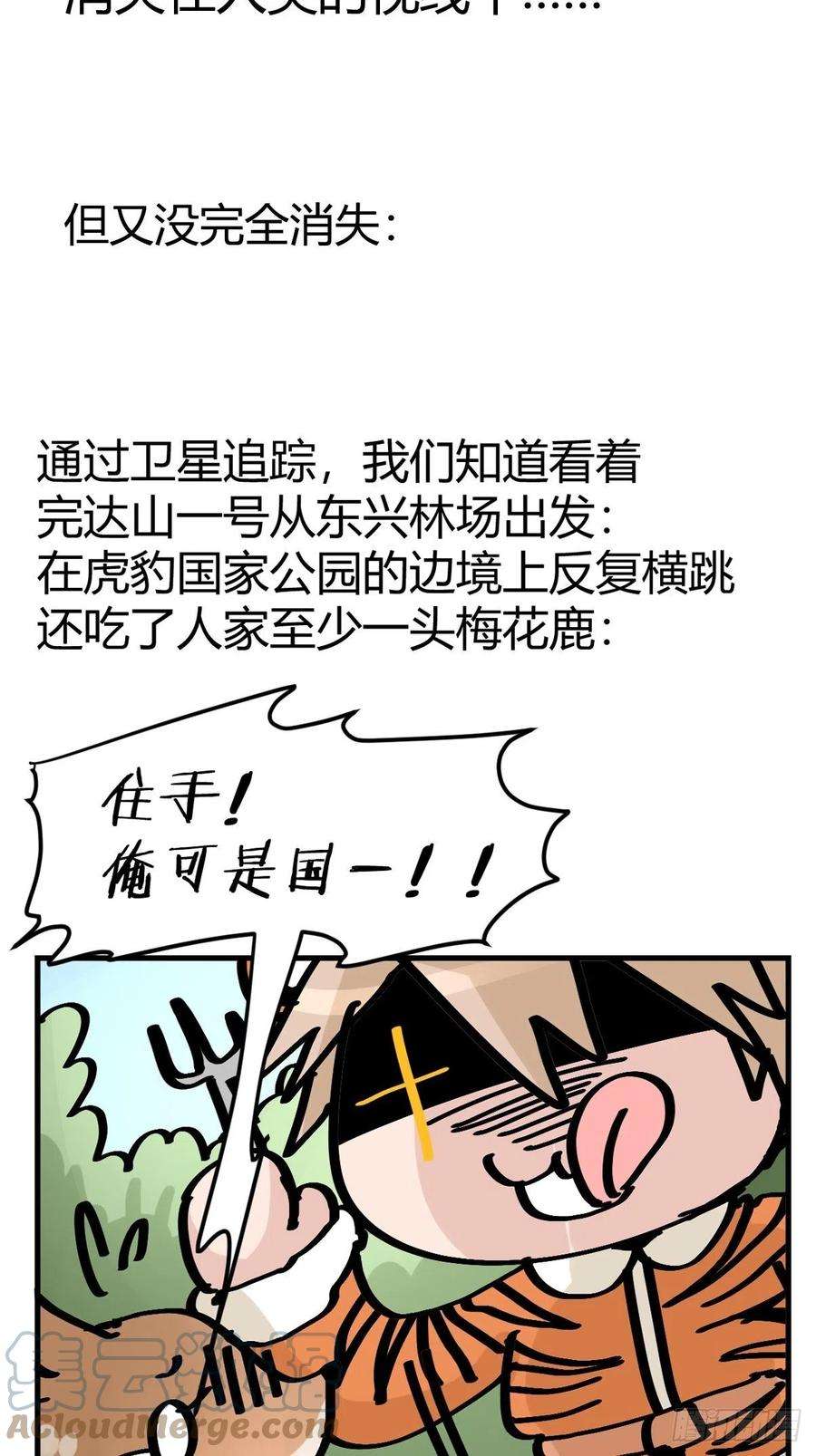 进化之基四海篇29：远虎治不了近鼠？