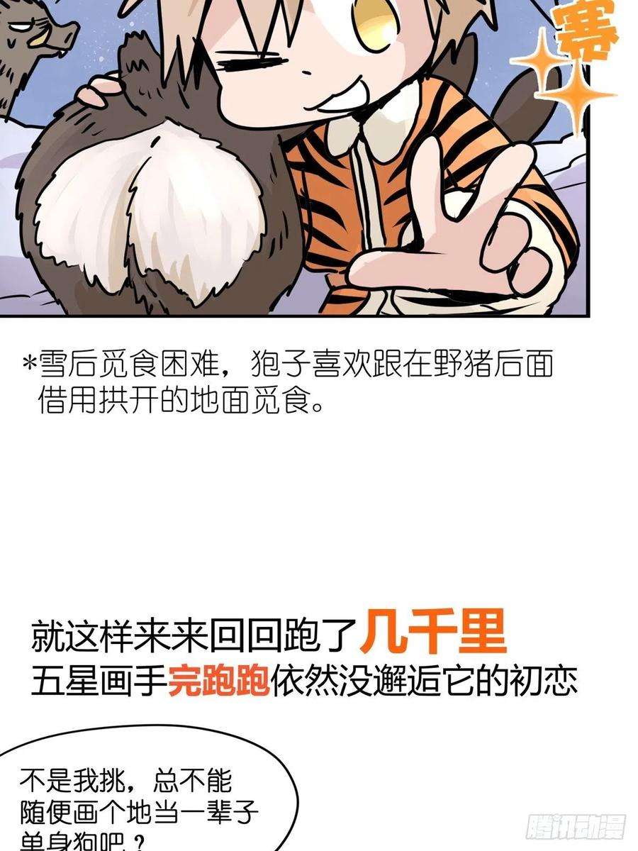 进化之基四海篇29：远虎治不了近鼠？